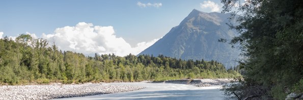 Reutigen
